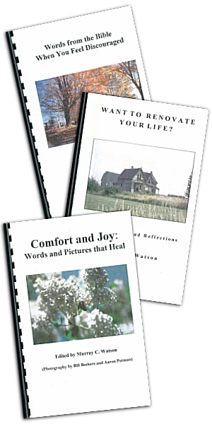 Sample Book Covers - Murray Watson - Speaking to Inspire